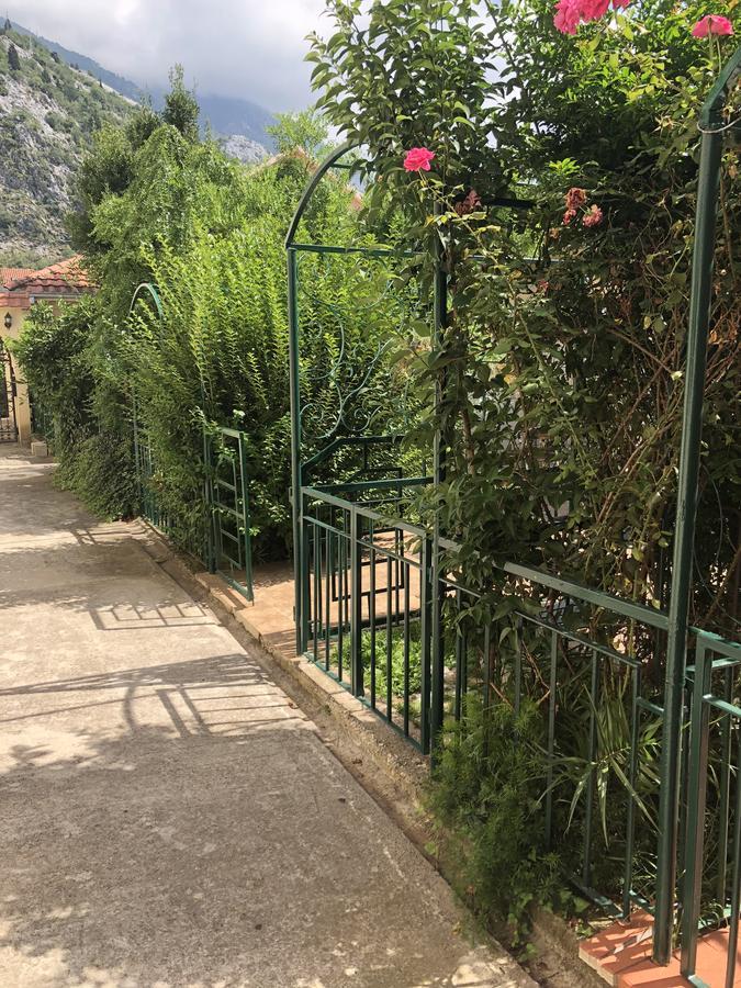 Apartments Qualitas Kotor Exteriér fotografie