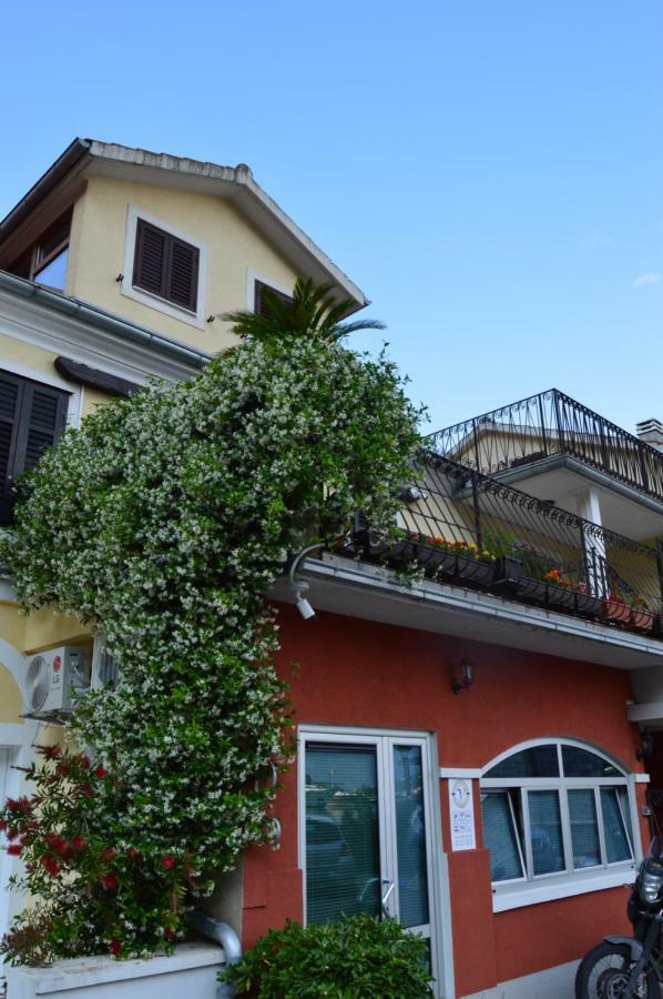 Apartments Qualitas Kotor Exteriér fotografie